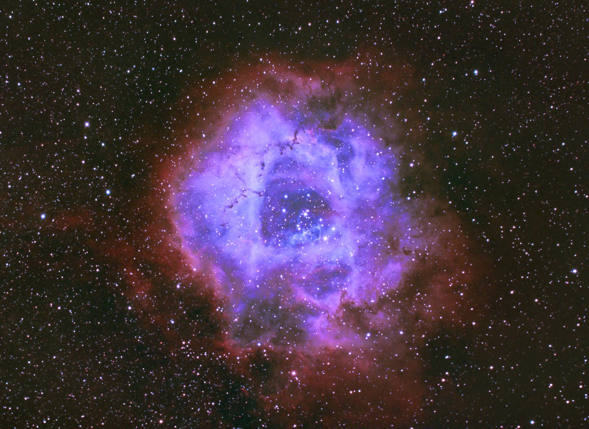 rosette nebula
