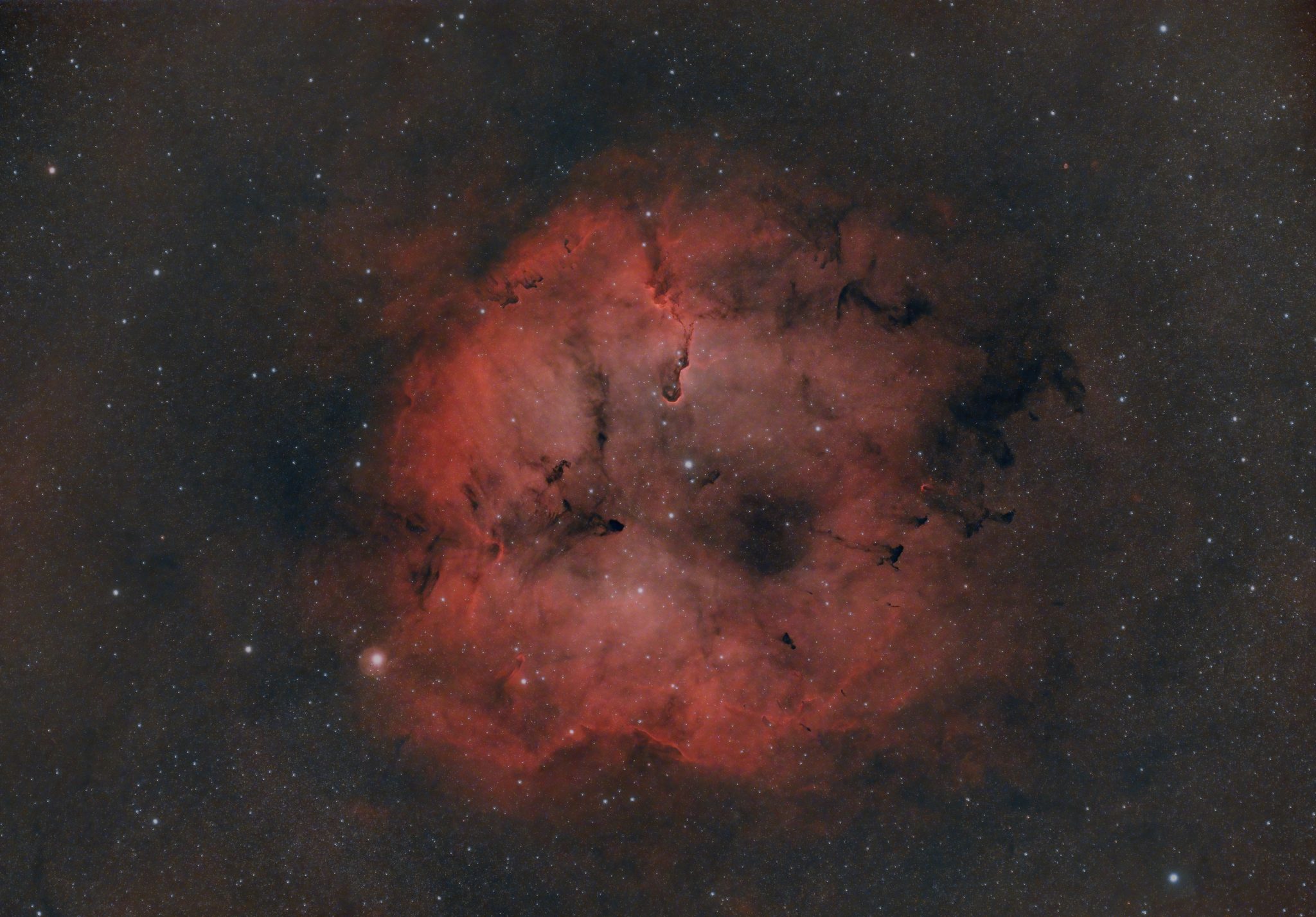 elephant nebula