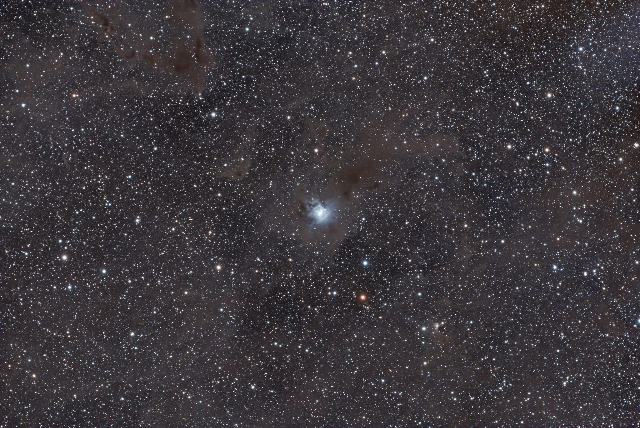 iris nebula