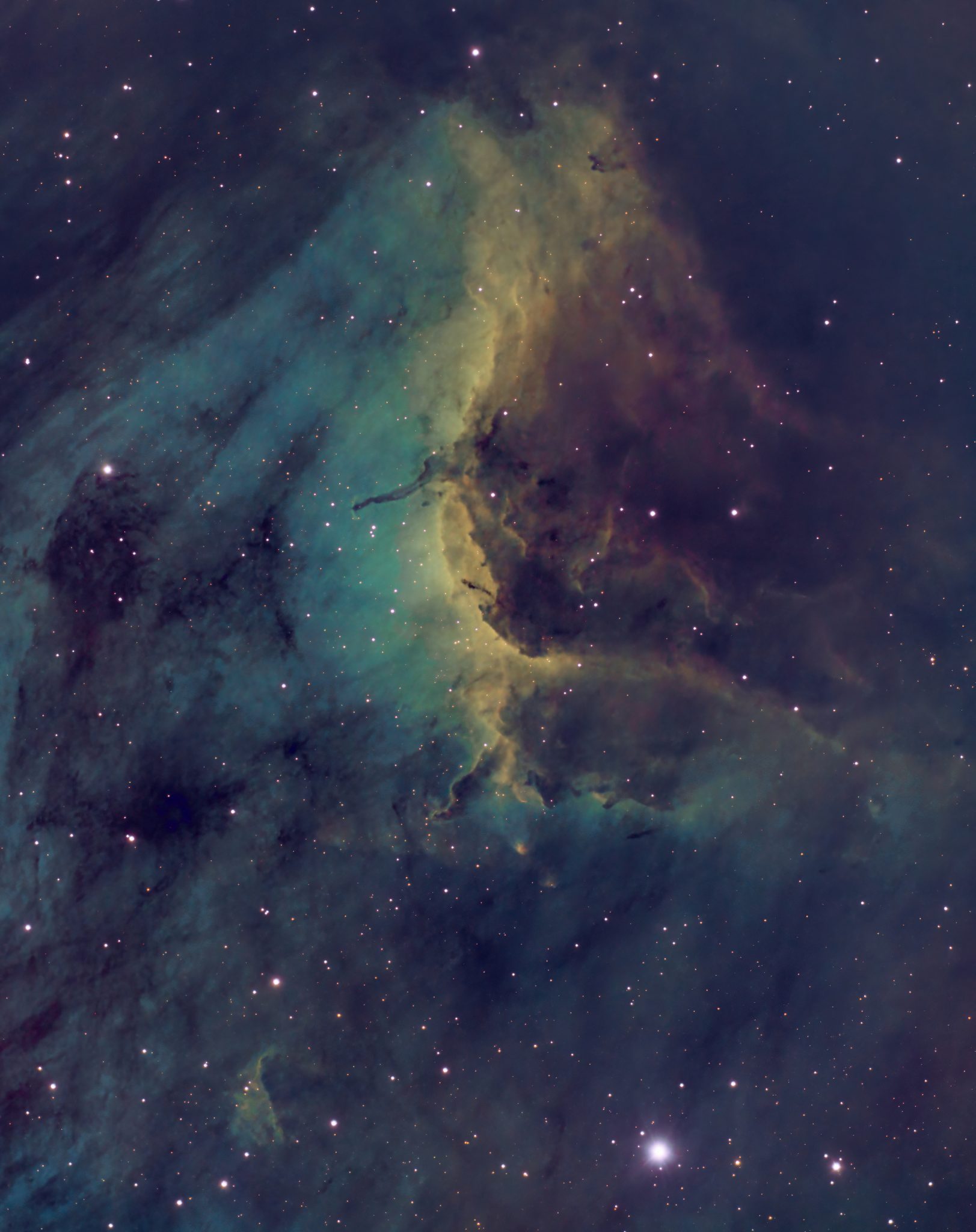 Pelican