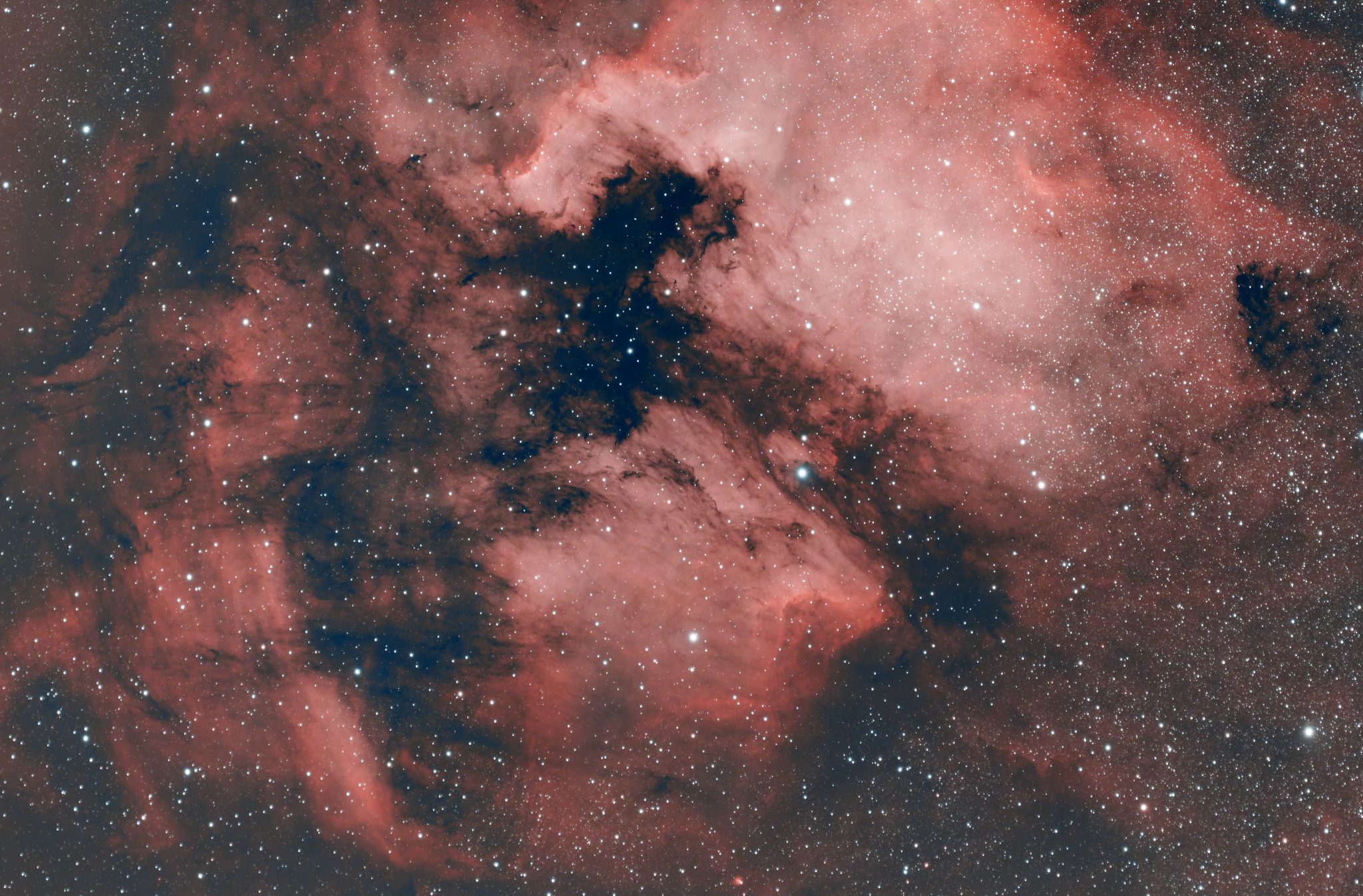 Deep space photo of the North America and Pelican Nebulas