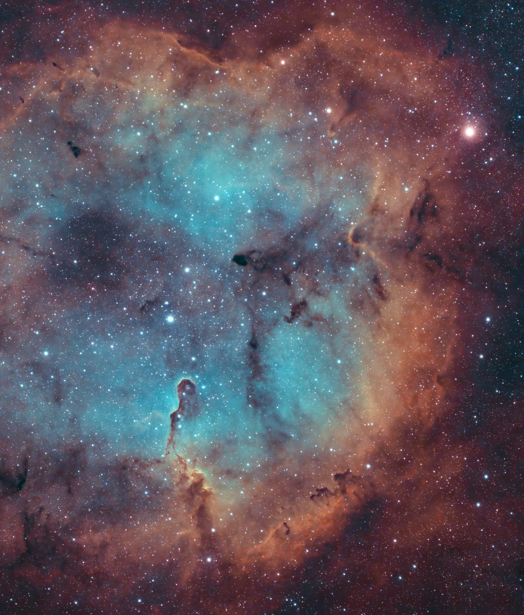 astrophoto of the elephant nebula in SHO