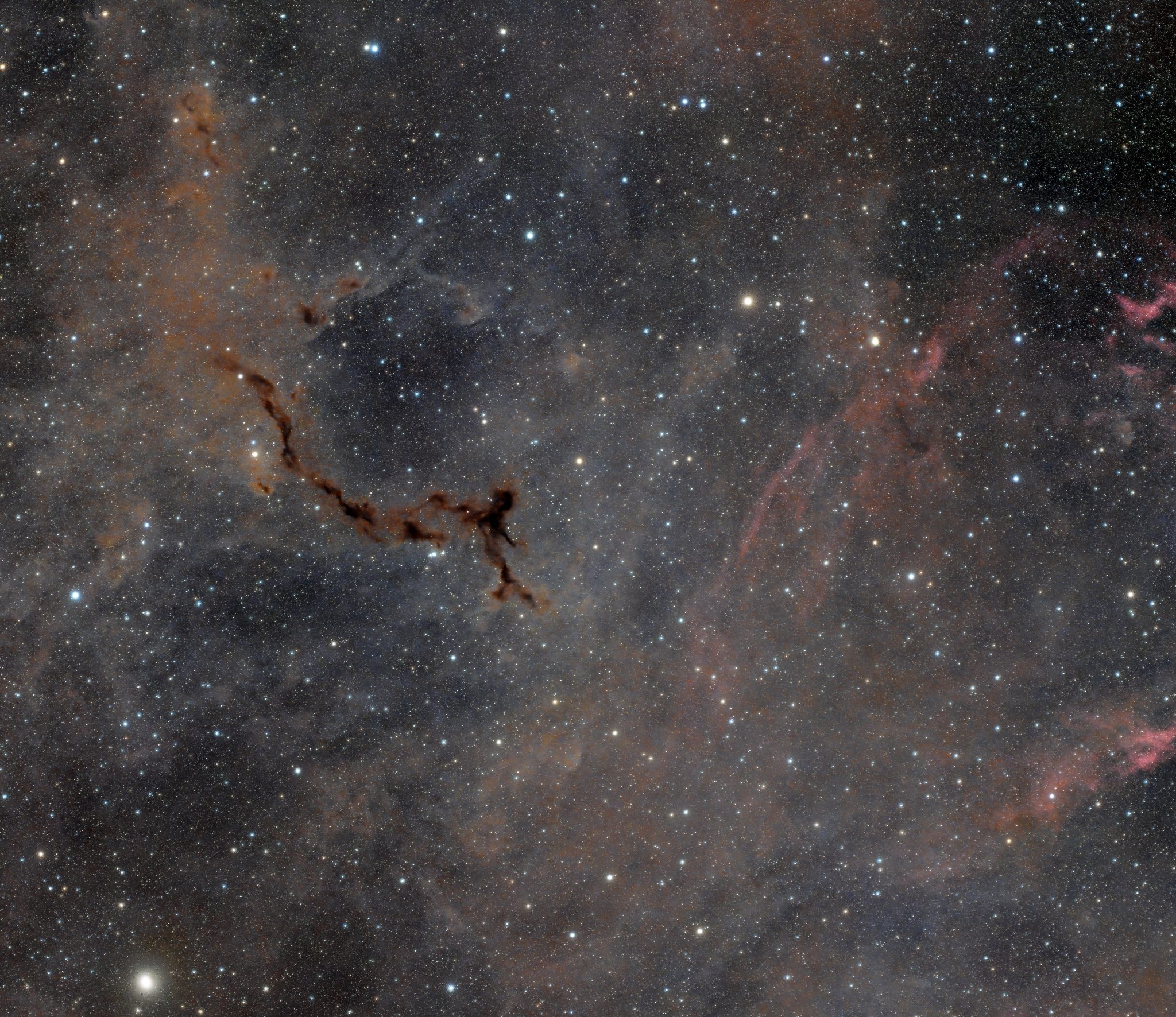 dark nebula astrophotography space